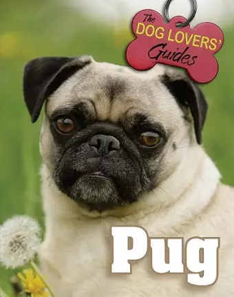 Pug cover