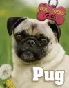 Pug cover