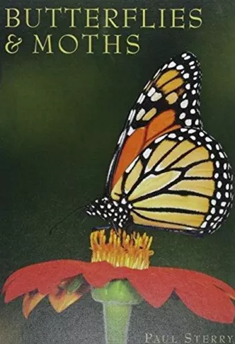 Butterflies & Moths cover