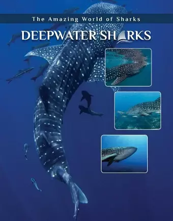 Deepwater Sharks cover