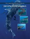 Deepwater Sharks cover