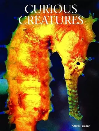 Curious Creatures cover