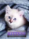 Kittens cover