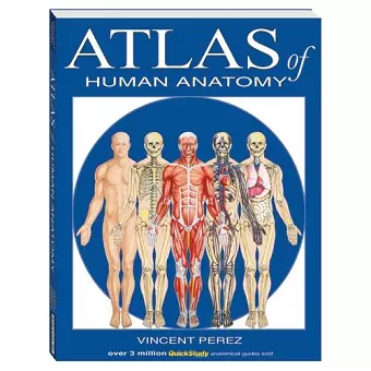 Atlas Of Human Anatomy cover