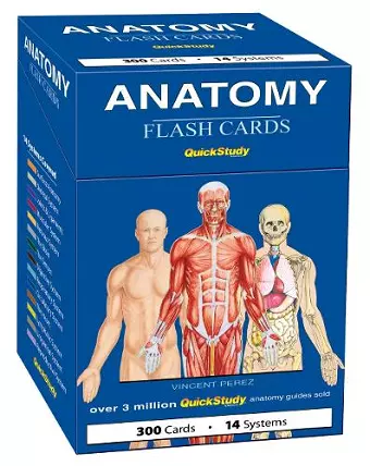 Anatomy Flash Cards (300 Cards) cover
