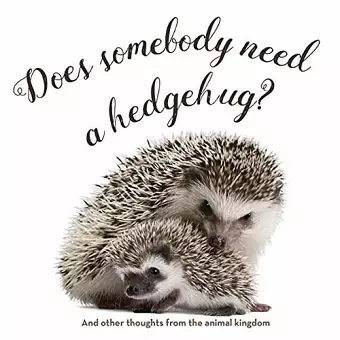 Does Somebody Need a Hedgehug? cover