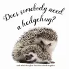 Does Somebody Need a Hedgehug? cover