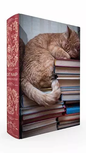 Cat Nap Book Box Puzzle cover