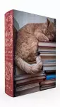 Cat Nap Book Box Puzzle cover