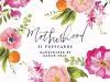 Motherhood 31 Postcards cover