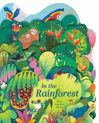 In the Rainforest cover
