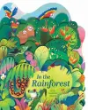 In the Rainforest cover