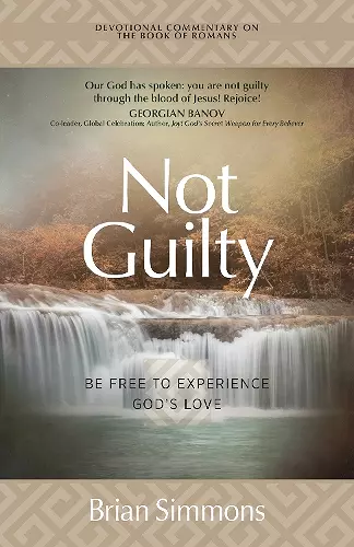 Not Guilty cover