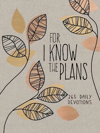 For I Know the Plans cover