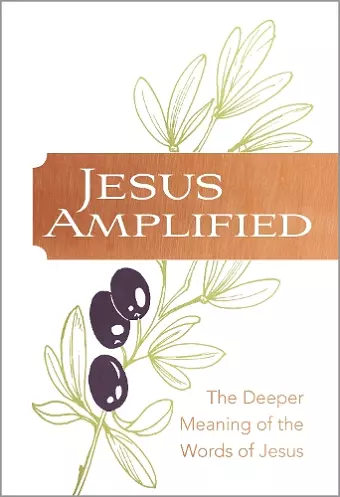 Jesus Amplified cover