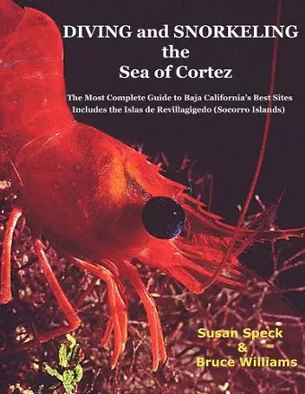 Diving and Snorkeling the Sea of Cortez cover