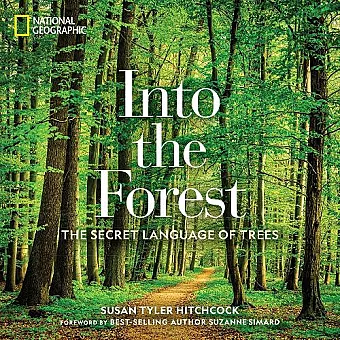Into the Forest cover
