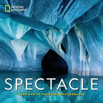 Spectacle cover