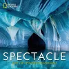 Spectacle cover
