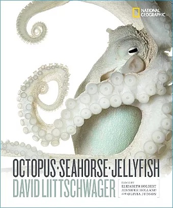 Octopus, Seahorse, Jellyfish cover