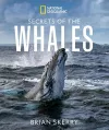Secrets of the Whales cover