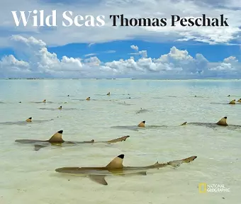 Wild Seas cover