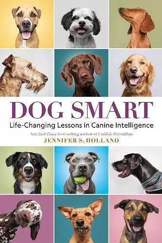Dog Smart cover