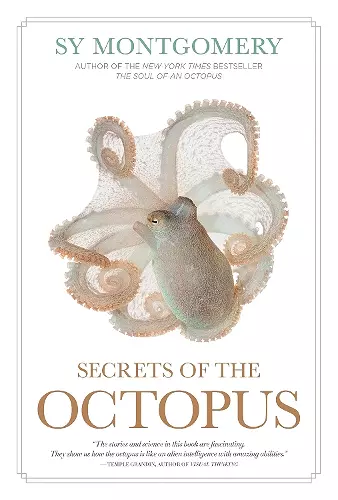 Secrets of the Octopus cover