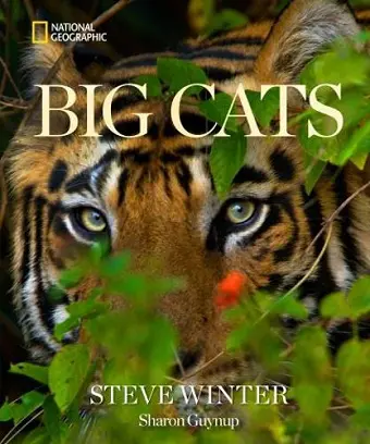 Big Cats cover