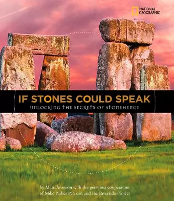 If Stones Could Speak cover