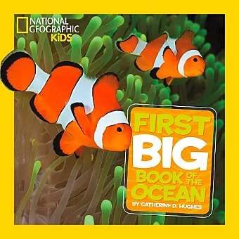 Little Kids First Big Book of The Ocean cover