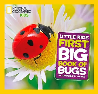 Little Kids First Big Book of Bugs cover
