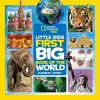 Little Kids First Big Book of The World cover