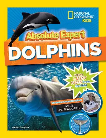 Absolute Expert: Dolphins cover