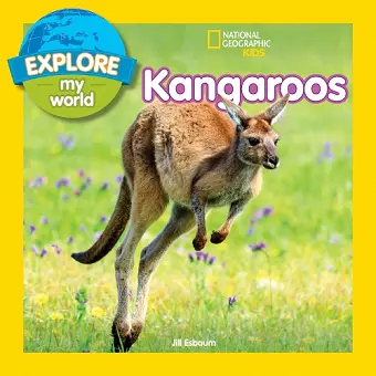 Explore My World: Kangaroos cover