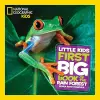 Little Kids First Big Book of The Rainforest cover