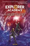 The Falcon’s Feather cover