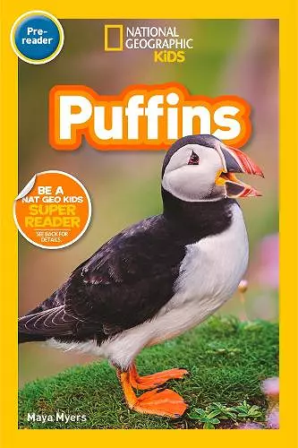 Puffins (Pre-Reader) cover