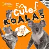 So Cute! Koalas cover