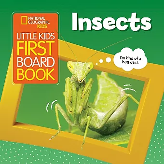 Little Kids First Board Book Insects cover