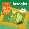 Little Kids First Board Book Insects cover