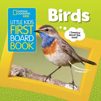 Little Kids First Board Book: Birds cover