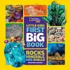 Little Kids First Big Book of Rocks, Minerals and Shells cover