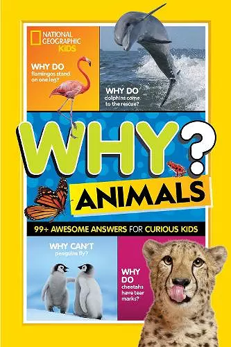 Why? Animals cover