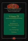 The New Interpreter's(r) Bible Commentary Volume IX cover