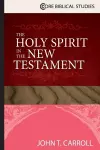 The Holy Spirit in the New Testament cover