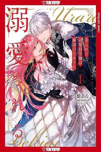 The Margrave's Daughter & the Enemy Prince, Volume 1 cover