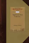 Appleton's New York City and Vicinity Gu cover