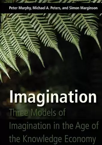 Imagination cover