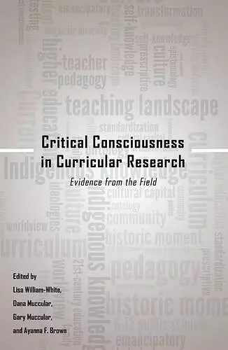 Critical Consciousness in Curricular Research cover